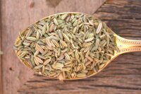 FENCHEL