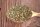 OREGANO