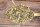 DOTTERGOLD